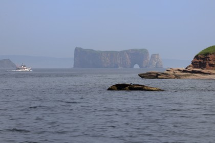 Canada, province de Québec, Gaspésie, le Rocher Percé