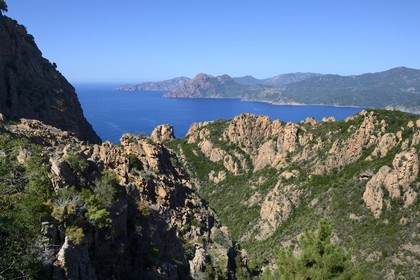 France, Corse-du-Sud (2A), Golfe de Porto, classé Patrimoine Mondial de l'UNESCO, calanches de Piana aux rochers de granit rose, le Capo Senino et la Réserve naturelle de la presqu'île de Scandola en arrière plan