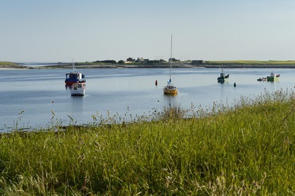 France, Finistere, La Foret Fouesnant, Glenan islands, St Nicolas Island, fishing boats at anchor and Drenec Island in the background