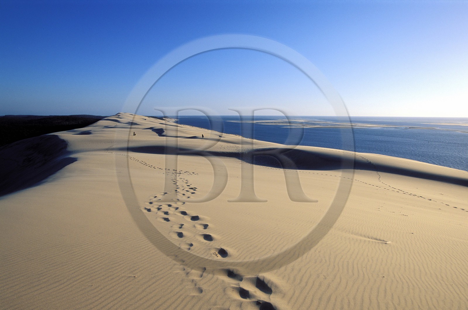 France, Gironde (33), Bassin d'Arcachon, empreintes de pas au sommet de le dune du Pilat