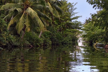Sri Lanka, Province de l'Ouest, canal hollandais (Hamilton Canal) entre Colombo et Negombo vers Uswetakeiyawa