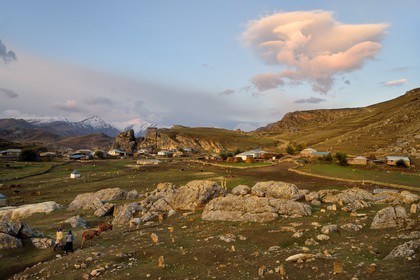 Azerbaijan, Quba (Guba) region, Greater Caucasus mountain range, village of Giriz at dawn, women bringing their cows to meadows