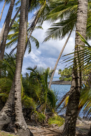 France, French Guiana, Kourou, Salvation Islands (Iles du Salut), Royal Island, Devil's Island in the background