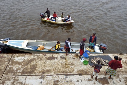 Gabon, Province du Moyen-Ogooué, le fleuve Ogooué, vente de poissons sur les pirogues au port de Lambaréné