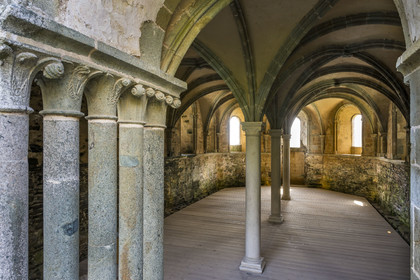 France, Cotes d'Armor, Paimpol, the 13th century Beauport Abbey, dolerite (green stone) capital of the chapter house