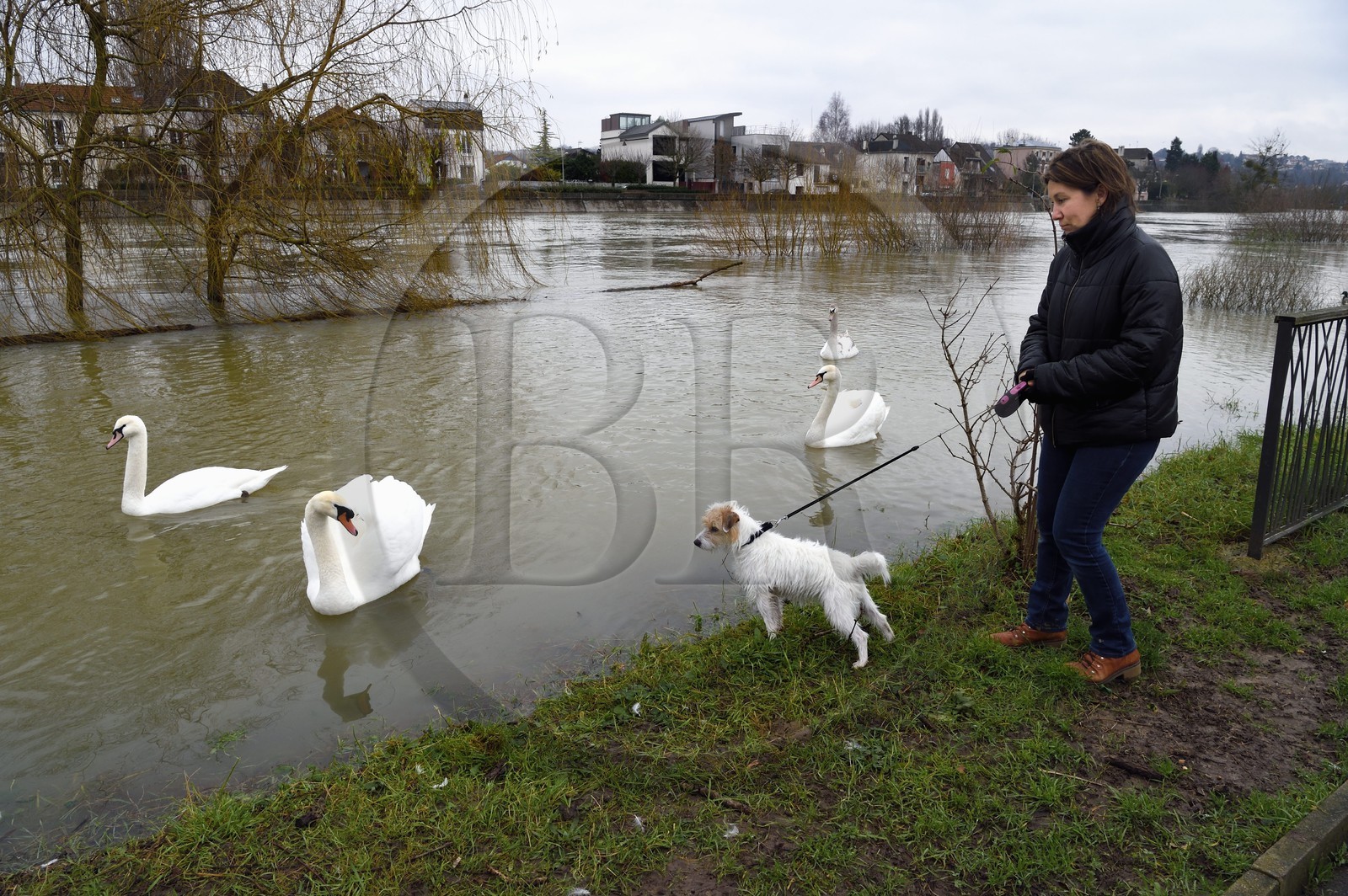 France, Val de Marne, Le Perreux-sur-Marne, the Marne riverside flooded