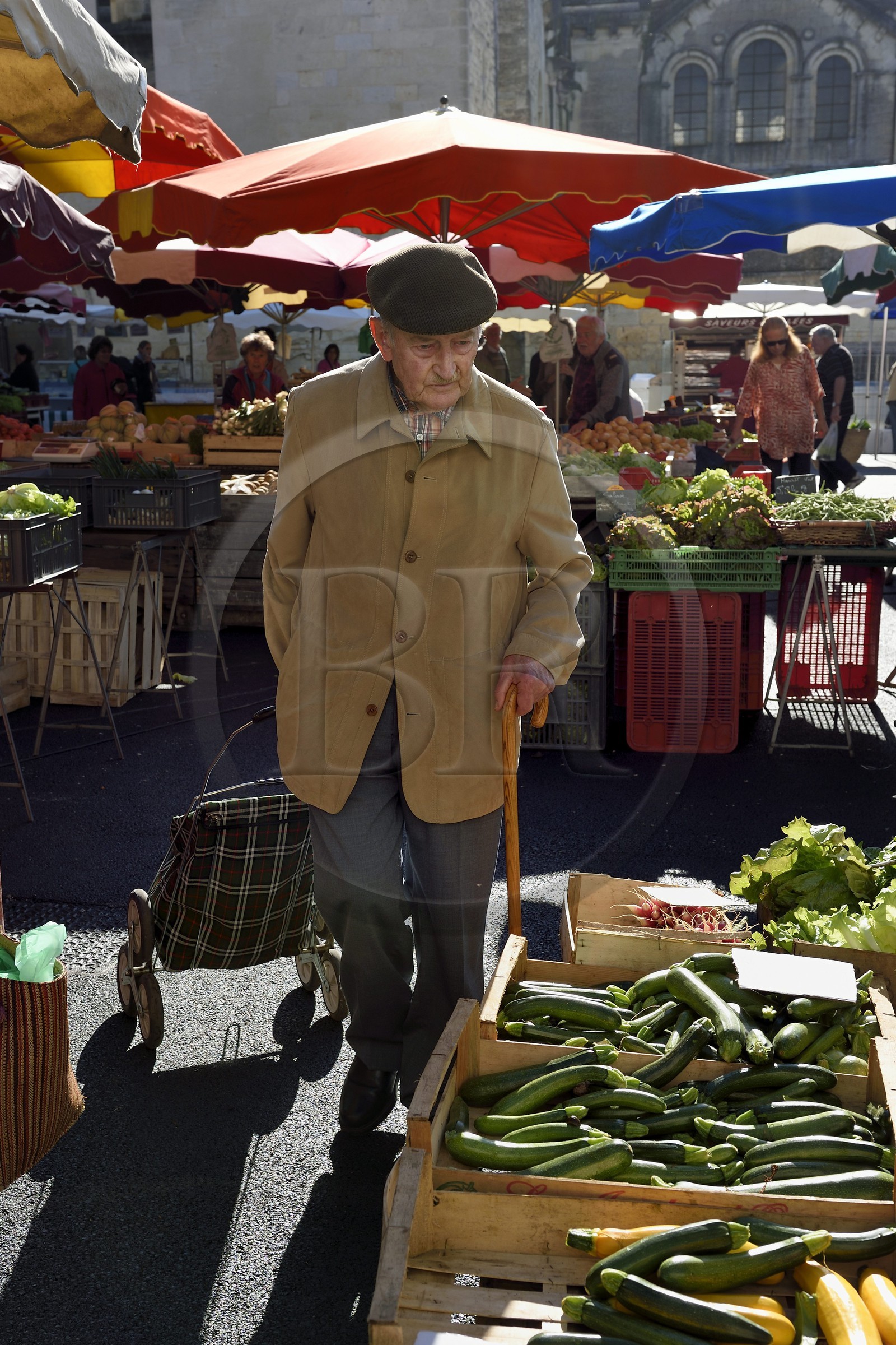 France, Dordogne (24), Périgord Blanc, Périgueux, le marché place de la Clautre devant la Cathédrale Saint-Front