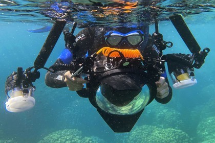 Sultanat d'Oman, gouvernorat de Mascate, réserve naturelle des Iles Daymaniyat, la photographe-plongeuse Maisa Al Hooti