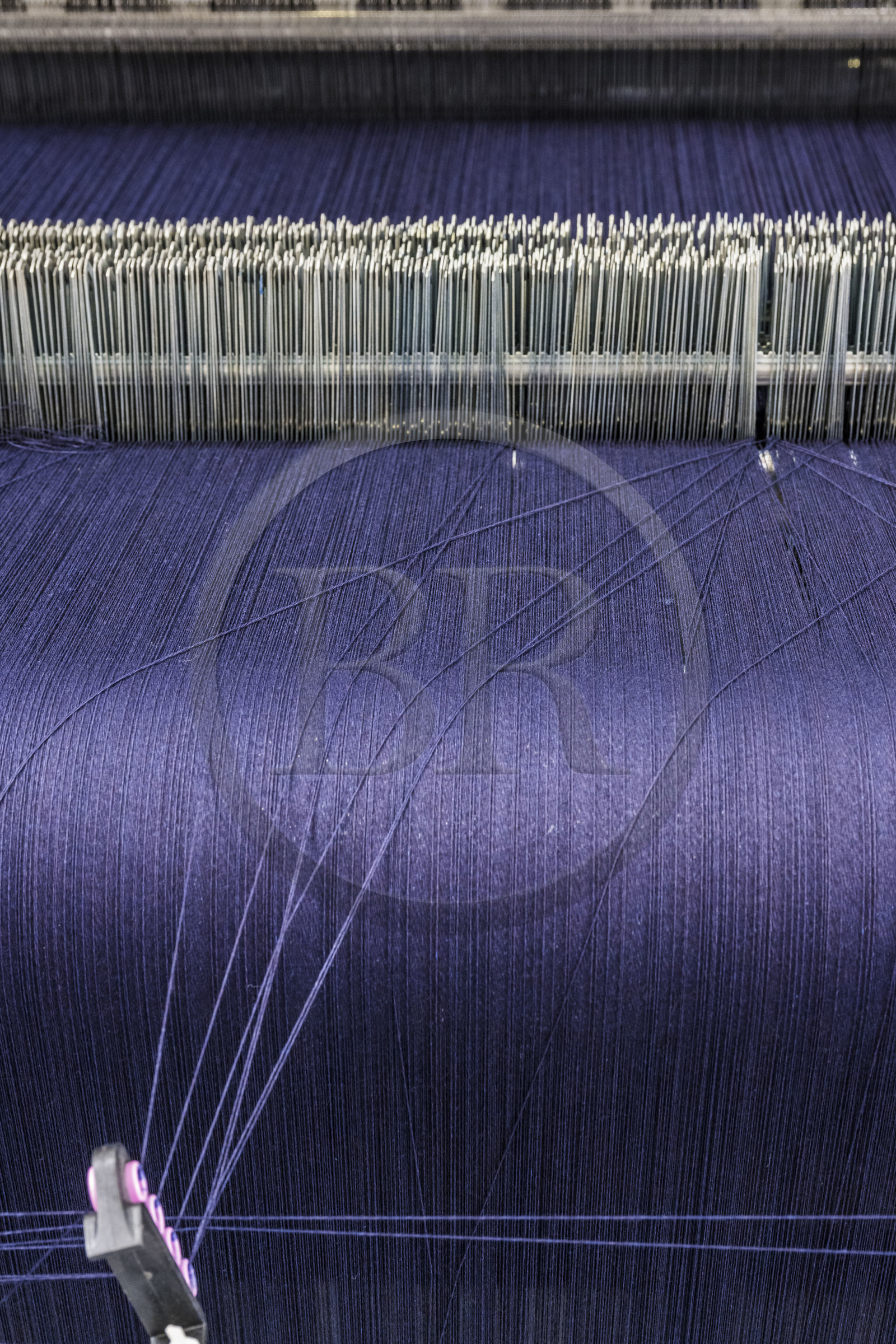 France, Gard (30), Nimes, Guillaume Sagot, fondateur de l’Atelier de Nîmes qui a relancé la fabrication de toiles de jean traditionnelles