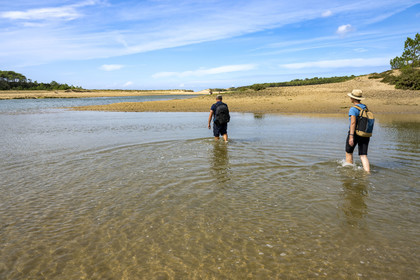 France, Vendée (85), Talmont-Saint-Hilaire, la Pointe du Payré, traversée de l'embouchure du Payré à marée basse par des randonneurs