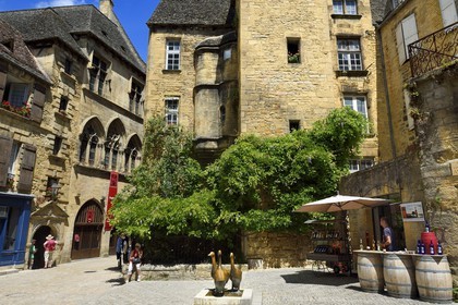 France, Dordogne (24), Périgord Noir, vallée de la Dordogne, Sarlat-la-Canéda, Place du marché aux oies, les oies statue par Lalanne, en arrière-plan l'Hotel de Vassal du XVème siècle