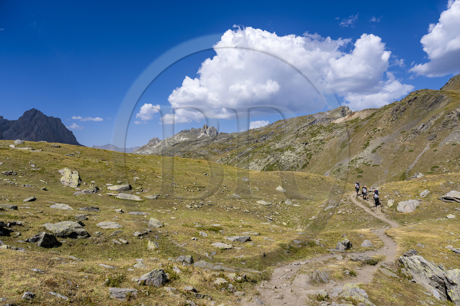 France, Hautes Alpes (05), le Briançonnais, Névache, randonneurs dans la haute vallée de la Clarée