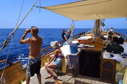 France, Alpes-Maritimes (06), Saint-Jean-Cap-Ferrat, sortie en mer sur le bateau Santo Sospir avec l'association SOS Grand Bleu pour l'observation des dauphins et des baleines dans le Sanctuaire Pelagos