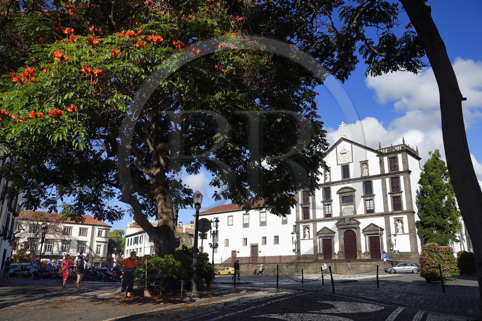Portugal, Ile de Madère, Funchal, praca do municipio, église Saint-Jean-l'Evangéliste (Igreja de Sao Joao Evangelista) ou église du Collège des Jésuites et tulipier du Gabon