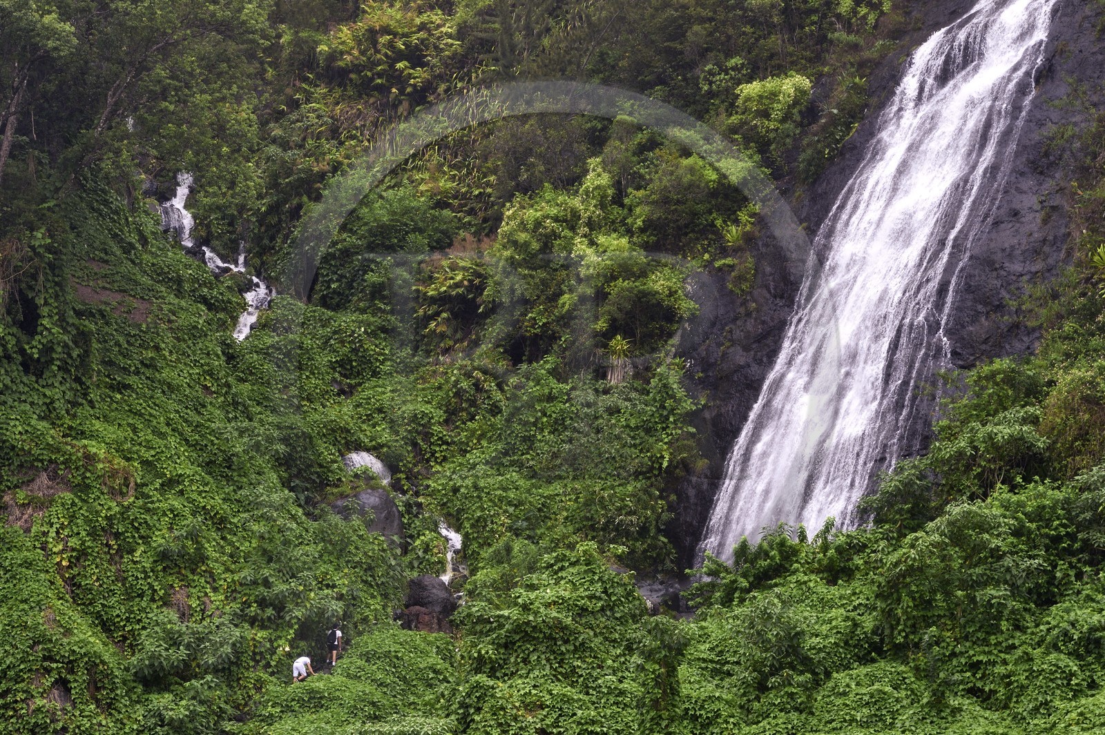 France, Ile de la Reunion, Cirque de Salazie, classé Patrimoine Mondial de l'UNESCO, cascade du Voile de la Mariée