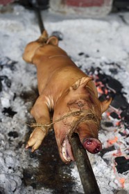 Philippines, Ile de Luzon, Manille, quartier La Loma, cochon de lait roti à la broche (lechon)