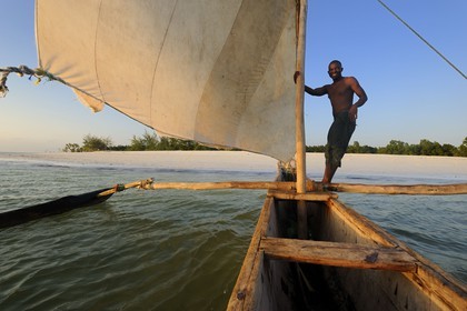 Tanzanie, archipel de Zanzibar, île de Unguja (Zanzibar), côte est, baie de Chwaka vers Michamvi, un dhow (boutre traditionnel)