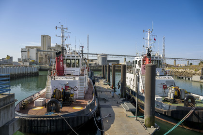 France, Charente-Maritime (17), La Rochelle, le Port Atlantique La Rochelle, port de commerce de La Pallice