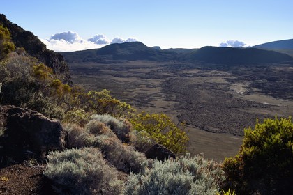France, Ile de la Reunion, Parc National de la Réunion classé Patrimoine Mondial de l'UNESCO, sur les pentes du volcan de Piton de la Fournaise, randonnée du sentier de l'oratoire Ste Thérèse au dessus de la Plaine des Sables que l'on aperçoit en contrebas