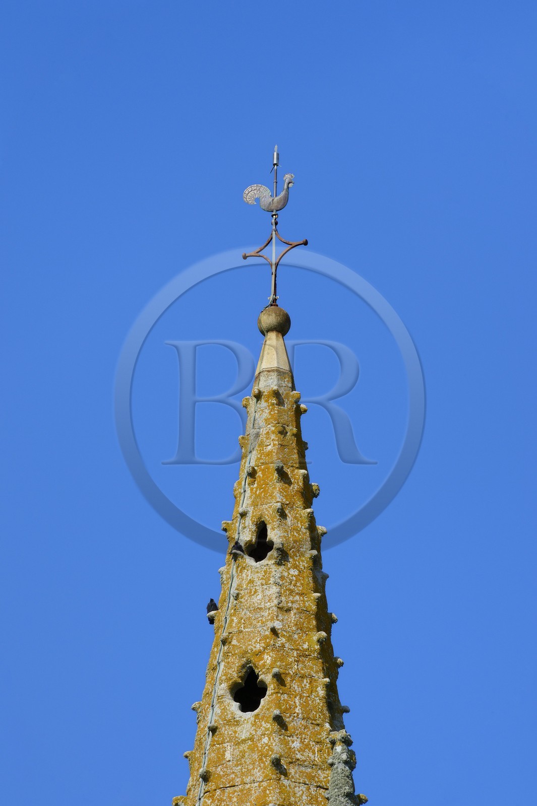France, Finistère (29), girouette sur le clocher de l'église de Penmarch