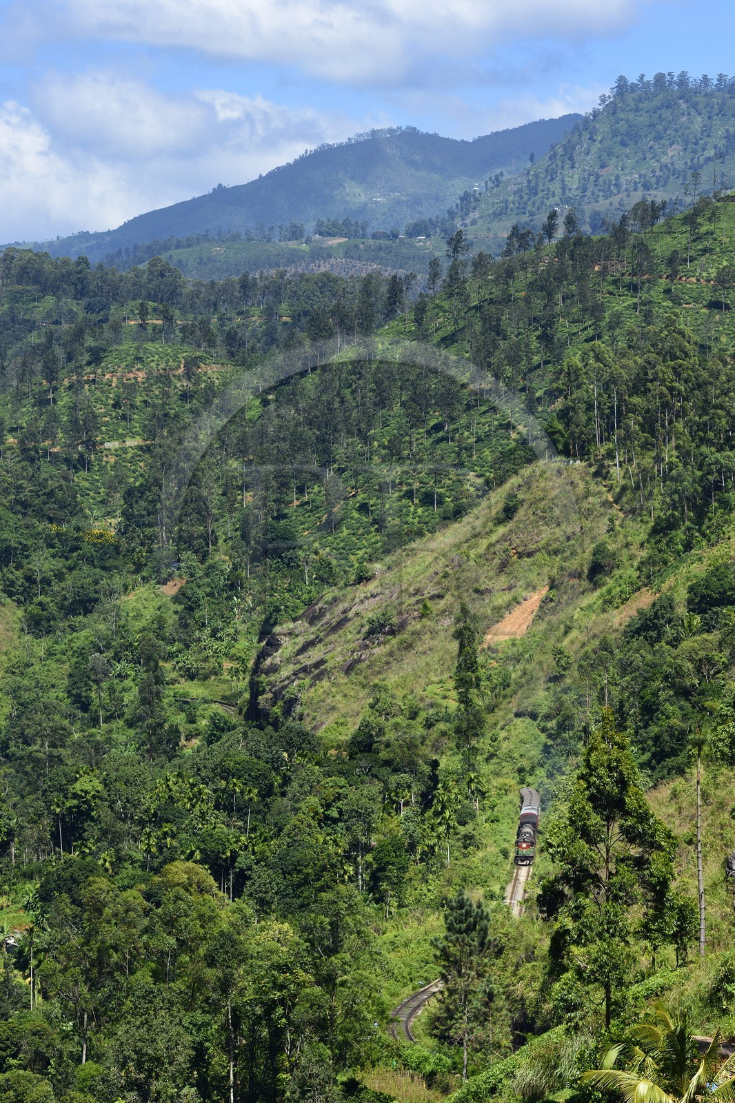 Sri Lanka, Province d'Uva, train sur la voie de chemin de fer dans la région montagneuse de la culture du thé non loin de Ella (Badulla district)