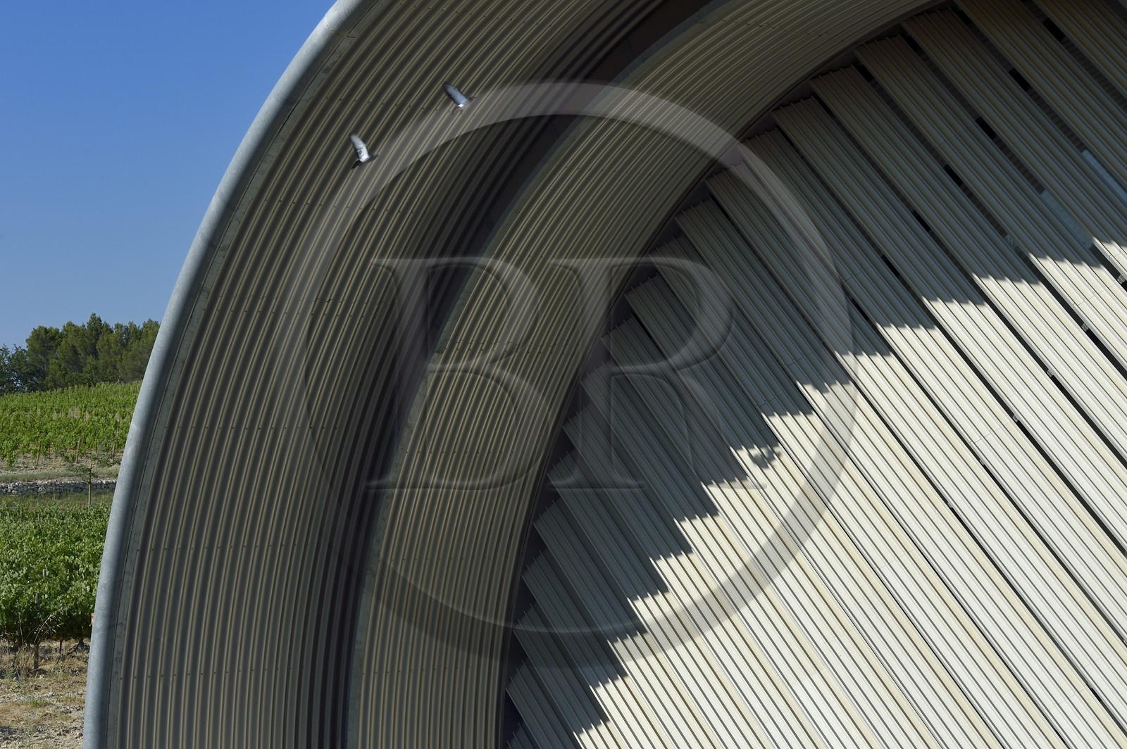 France, Bouches du Rhone,  Le Puy Sainte Reparade, Chateau La Coste vineyard and contemporary art center, AOP Côteaux d'Aix, Winemaking Cellars by Jean Nouvel (Compulsory Mention)