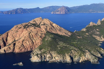 France, Corse du Sud, Golfe de Porto, listed as World Heritage by UNESCO, the Capo Rosso and the Genovese Tower of Turghiu (Turghio) in the background (aerial view)