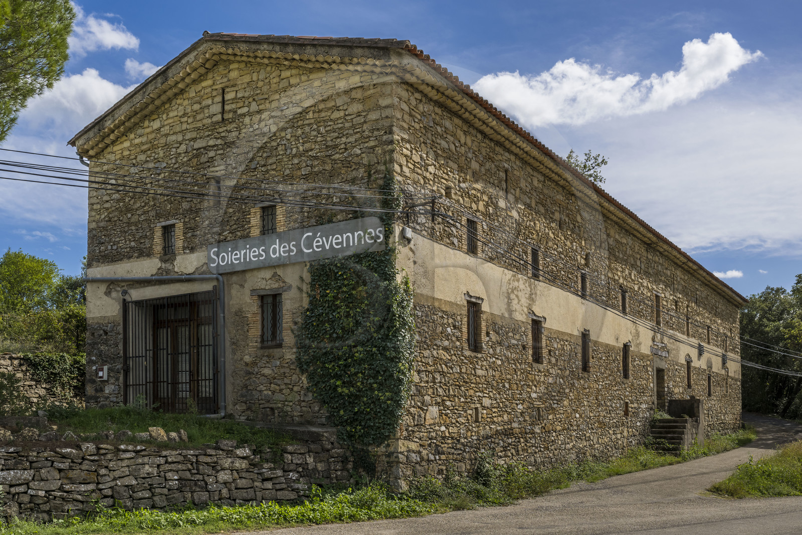 France, Gard, Monoblet, Atelier Sericyne silk farm is relaunching French sericulture, breeding silkworms and producing exceptional non-woven silk for the production of decorative objects