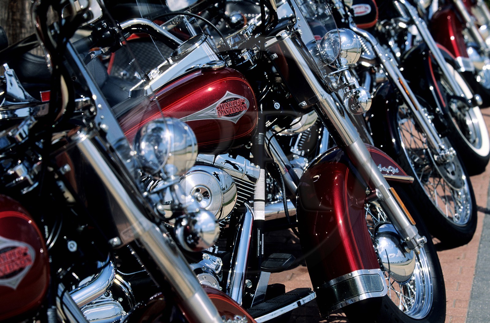 Etats-Unis, Floride, Daytona Beach, Harley Davidson