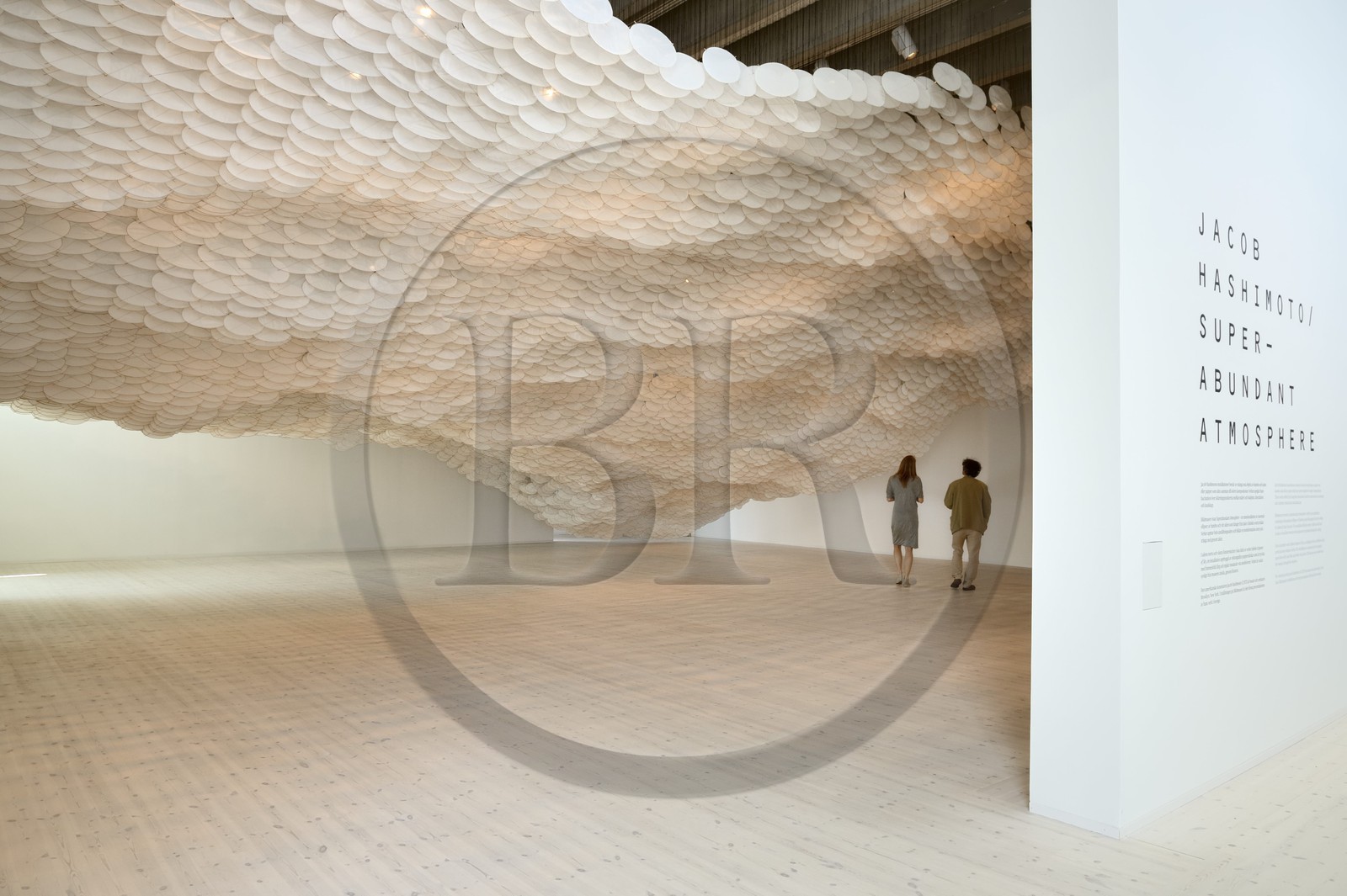 Suède, Comté de Vasterbotten, Umea, le Bildmuseet (Musée d'art contemporain et de la culture visuelle) à Umea Arts Campus, Super-Abundant Atmosphere de l'artiste Jacob Hashimoto