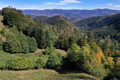 France, Haut-Rhin (68), Parc naturel r