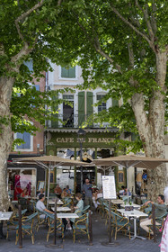 France, Vaucluse (84), L'Isle-sur-la-Sorgue, vieille ville, place de la Liberté, terrasse sous les platanes du Café de France