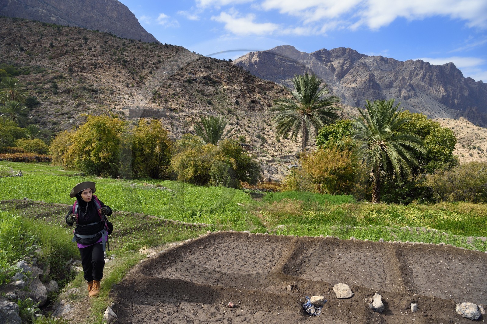 Sultanat d'Oman, Gouvernorat d'Al-Batina du Sud, Hajar occidental, Wadi Mistall, la randonneuse Badour Al Salhi dans les cultures en terrasse surplombant le village de Wakan (Wukan)