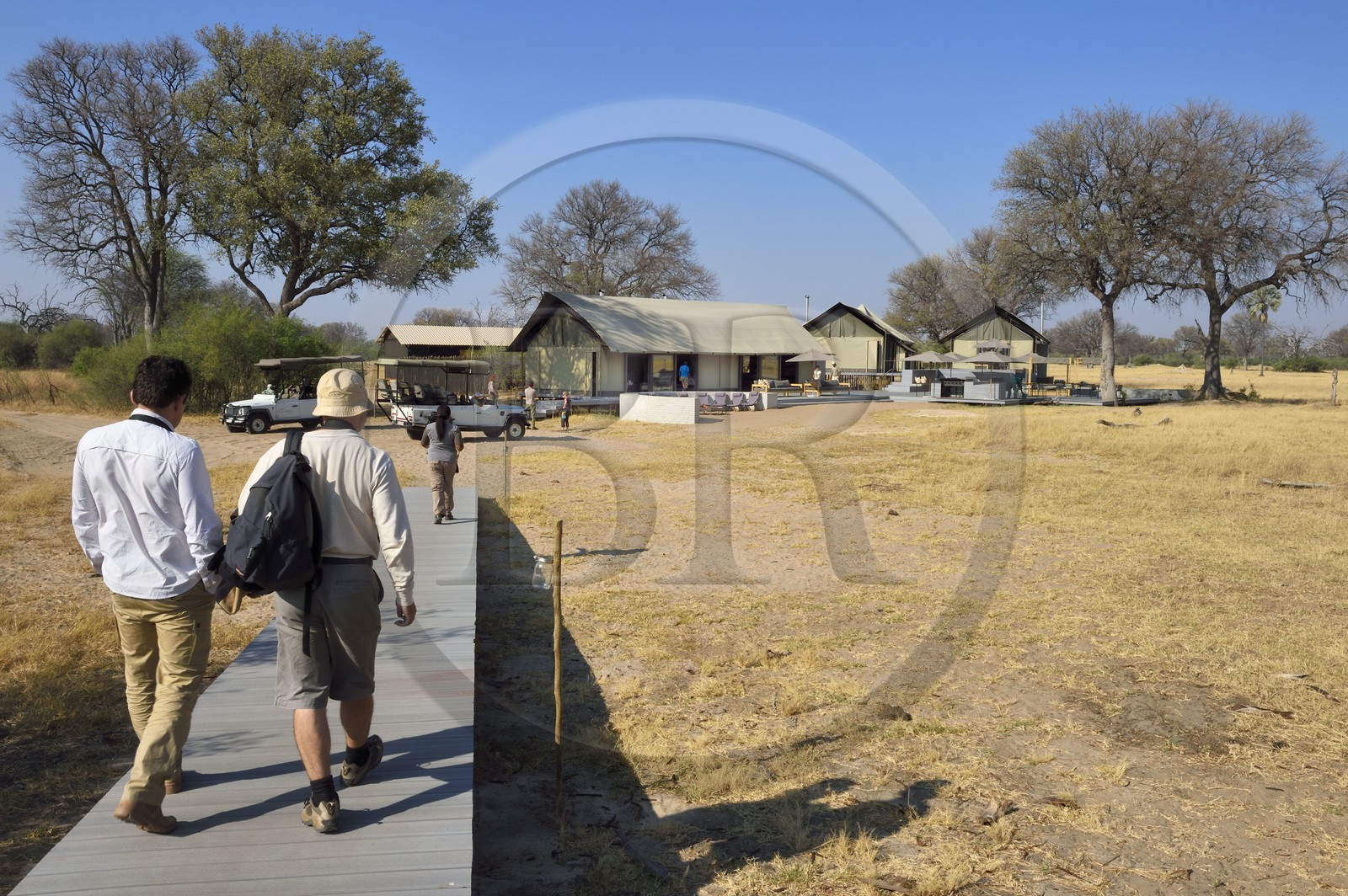 Zimbabwe, Matabeleland North Province, Hwange National Park, Wilderness Safaris Linkwasha Camp