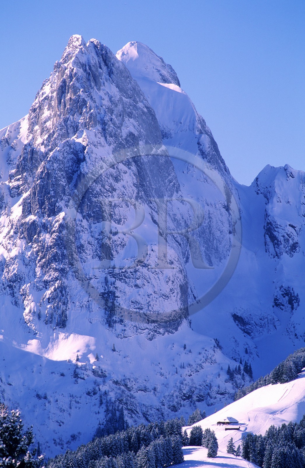 Suisse, région de Bern (Oberland Bernois), Saanenland, montagne dominant la station de Gstaad