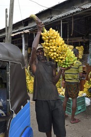 Sri Lanka, province de l'ouest, district de Colombo, Colombo, le marché de fruits et légumes Manning dans le quartier de Pettah