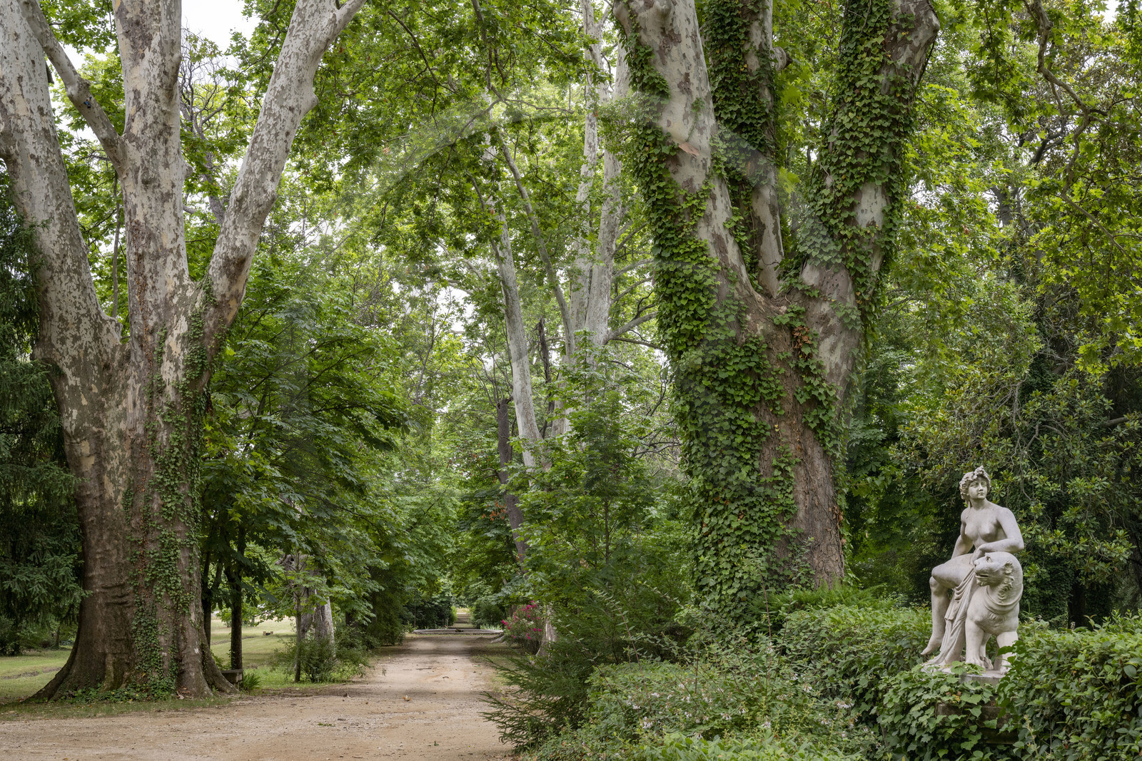 France, Bouches-du-Rhône (13), Aix en Provence, Bastide du Jas de Bouffan, ancienne demeure de Paul Cezanne de 1859 à 1899, l'allée des chataigniers peinte par Cézanne