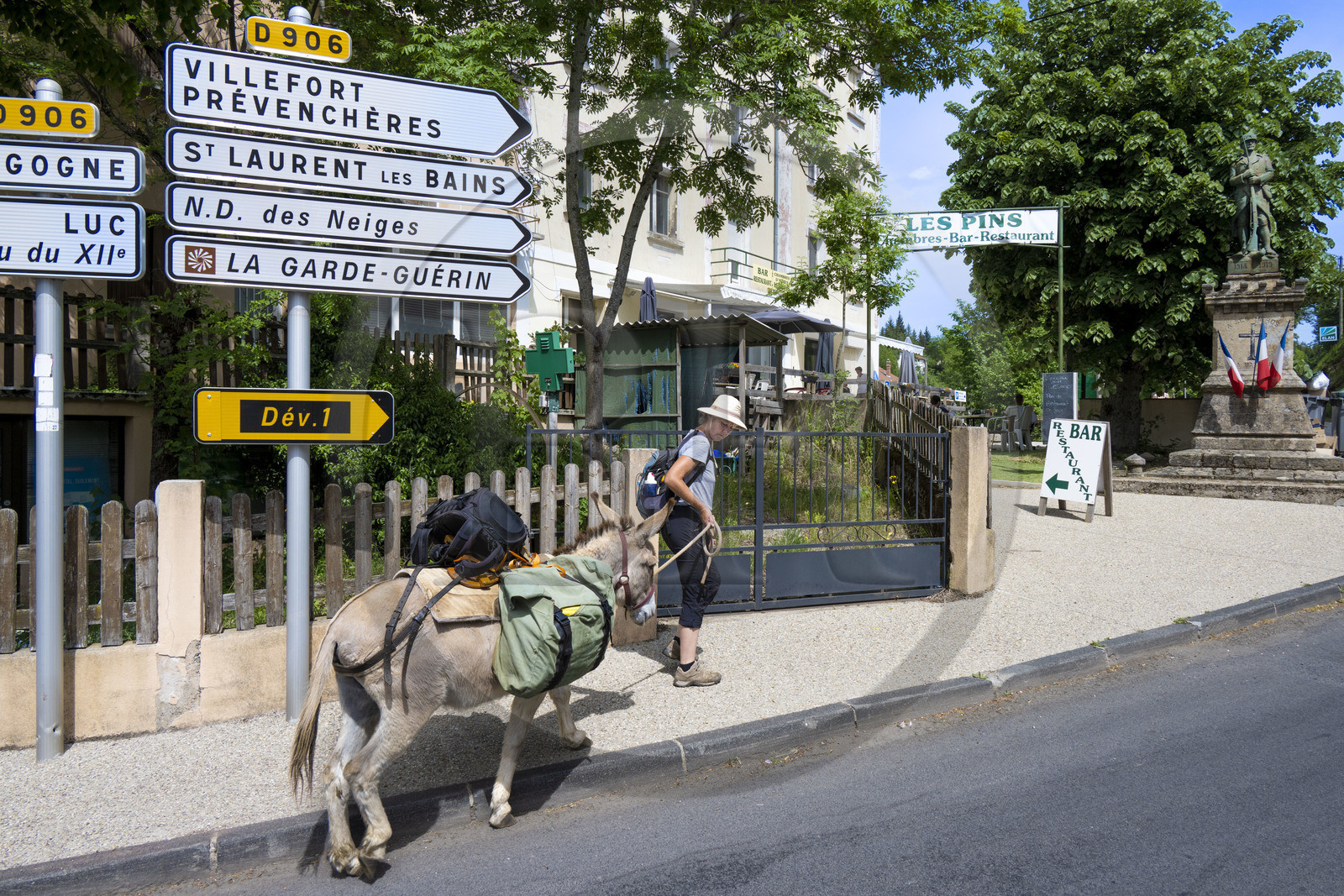 France, Lozère (48), La Bastide-Puylaurent, randonnée avec un âne sur le chemin de Stevenson (GR 70), arrivée à la chambre d'hotes Les Pins