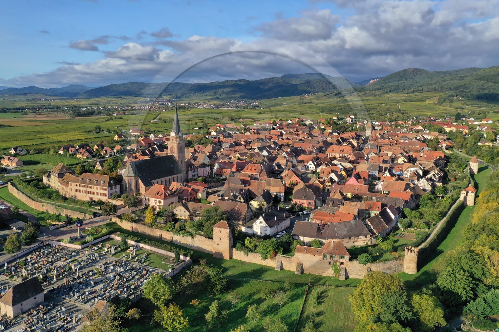 France, Haut Rhin, the Alsace Wine Route, Bergheim, old medieval fortified city and the Vosges moutains in the background (aerial view)