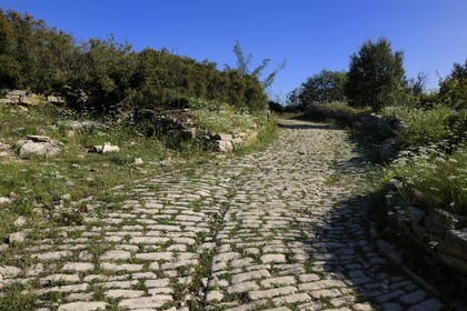 France, Herault, near Lunel, Oppidum of Ambrussum on the Via Domitia, paved streets worn out by the passage of wagons