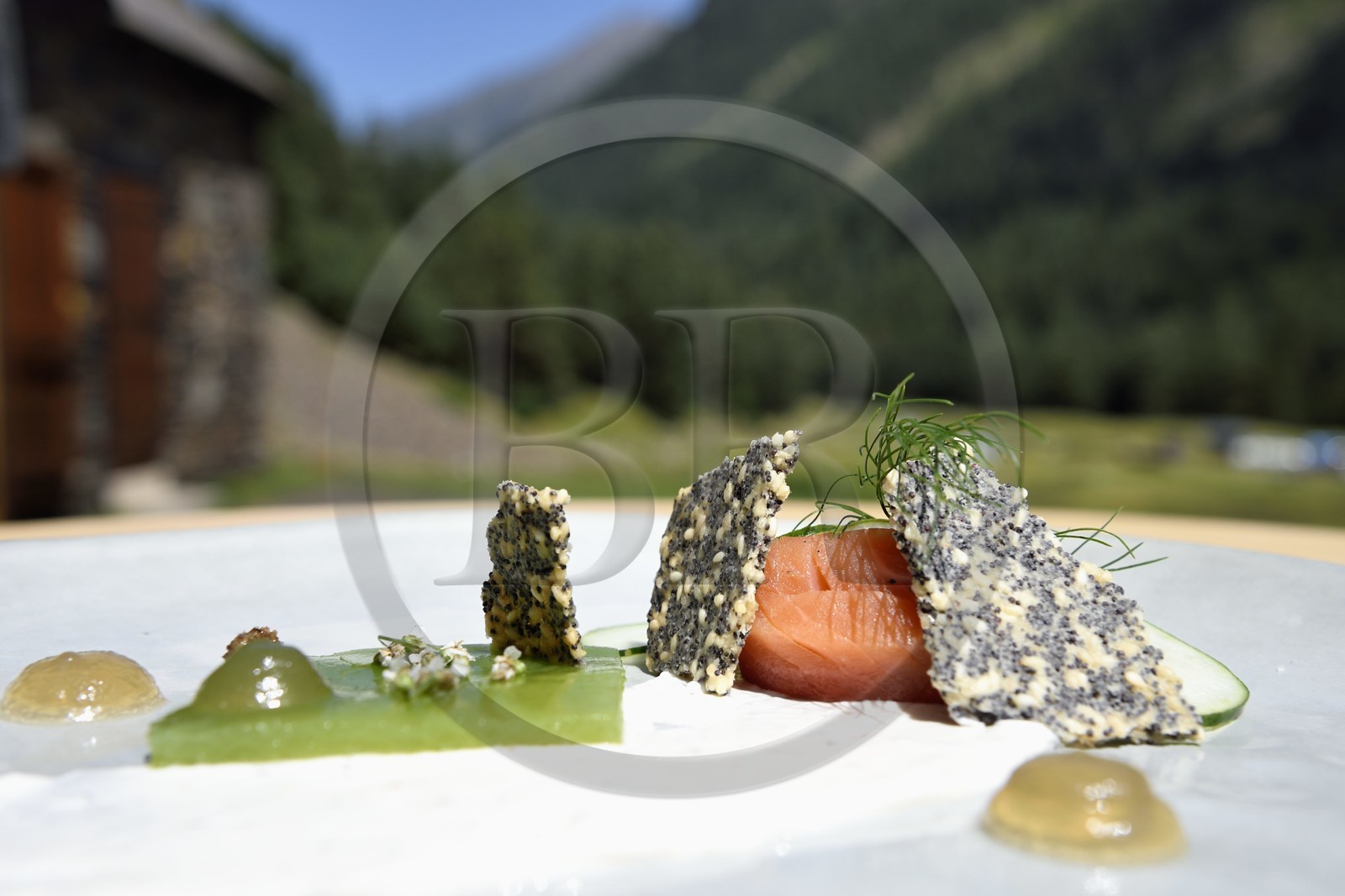 France, Hautes-Pyrénées (65), Saint-Lary-Soulan, vallée du Rioumajou, l'hospice du Rioumajou devenu refuge et restaurant, truite fumée, concombre et verveine des incas
