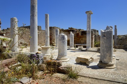 Grèce, île de Delos, classée Patrimoine Mondial de l'UNESCO, site archéologique de Délos, sanctuaire d'Apollon, la plus grande cité antique de la mer Egée, la maison du lac