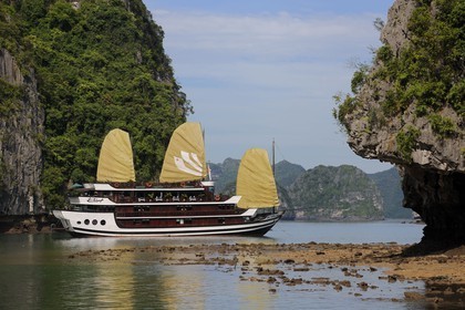 Vietnam, province de Quang Ninh, la Baie d'Halong classée Patrimoine Mondial de l'UNESCO, jonque de la compagnie de croisière Bahya à l'ile de Bo Hon