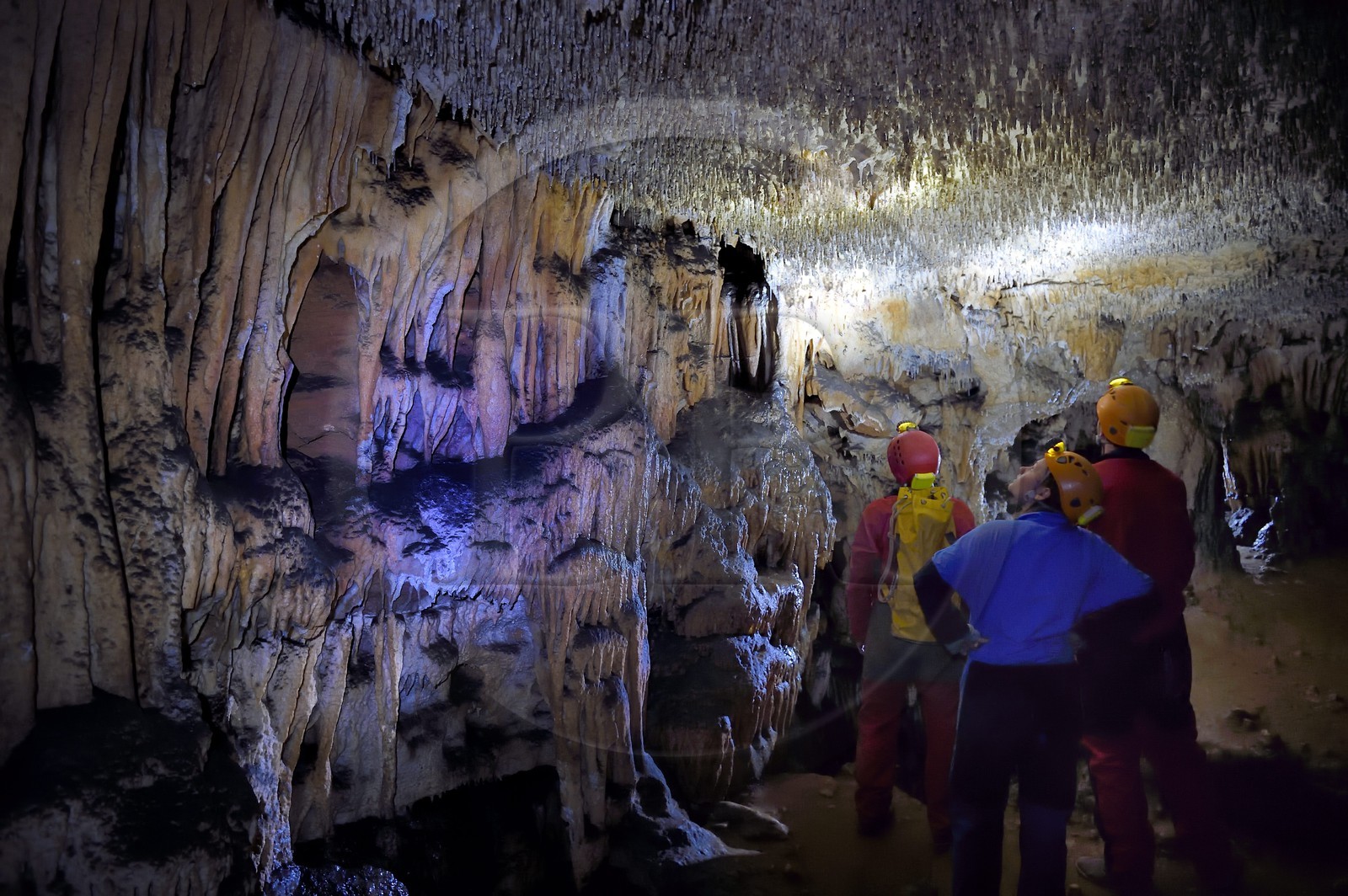France, Dordogne (24), Périgord Noir, vallée de la Dordogne, Groléjac, initiation à la spéléologie avec Laurent Lignac de Couleur Périgord dans la grotte du Pechialet