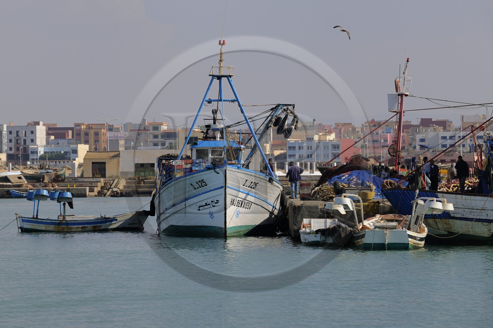Morocco, Oriental Region, Ras Kebdana (also called Cabo de Agua), fishing harbour and marina