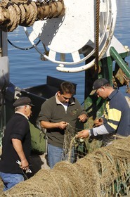 France, Manche, Val de Saire, Saint Vaast la Hougue, port, trawler setting out for fishing