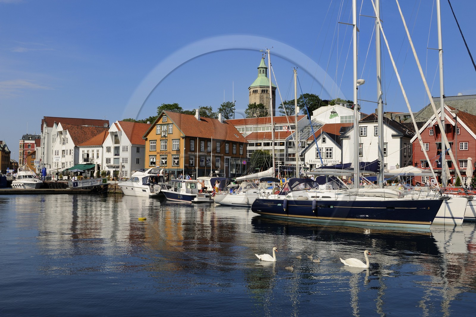 Norvège, Rogaland, Stavanger, bateaux de plaisance et cygnes dans le vieux port (Vagen)
