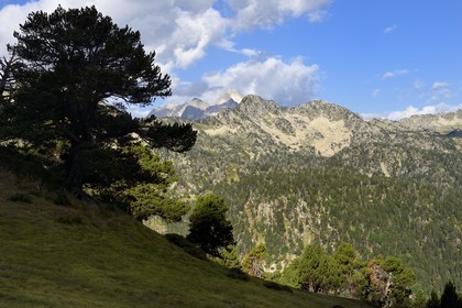 France, Hautes-Pyrénées (65), Saint-Lary-Soulan et Vielle-Aure, randonnée sur une variante du GR10 entre le col de Portet et les lacs de Bastan en bordure de la réserve naturelle de Néouvielle