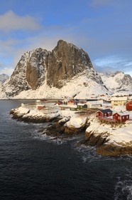 Norway, Nordland County, Lofoten Islands, Moskenes Island, Hamnoy fishing harbour nearby Reine, hanging cod-fish for drying
