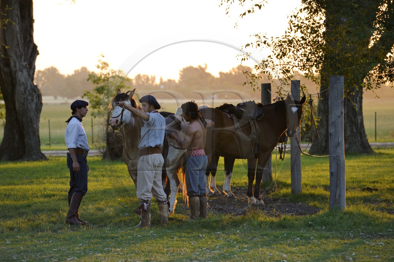 Argentine, province de Buenos Aires, San Antonio de Areco, gauchos dans l'estancia La Bamba de Areco
